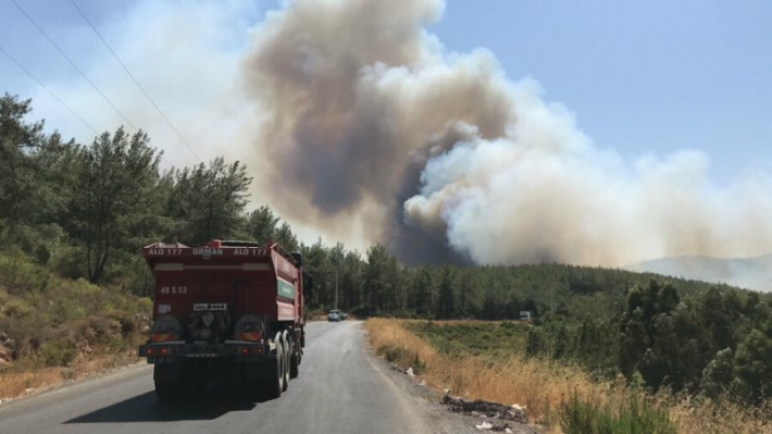 Tarım ve Orman Bakanı Pakdemirli: Yangınların sebebiyle ilgili çok yönlü soruşturma yapılıyor