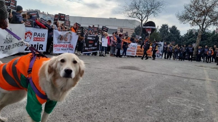 Konya’daki katliam sonrası tahliye kararına tepki: Adalet istiyoruz