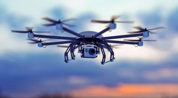 Ölü kuşları drone olarak dolduracaklar