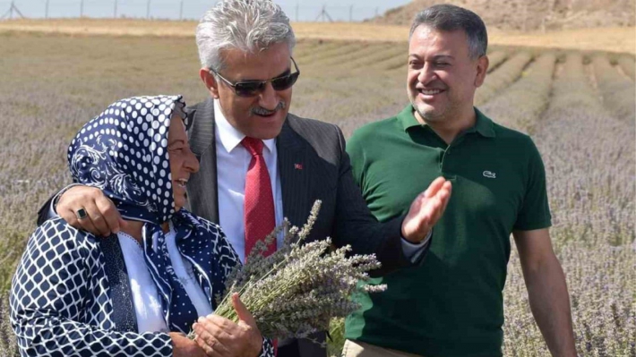 Kadın girişimci Zübeyde Bozkurt devletten aldığı destekle lavanta yetiştiriyor