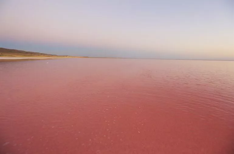 Tuz Gölü pembe oldu! Nedeni ortaya çıktı