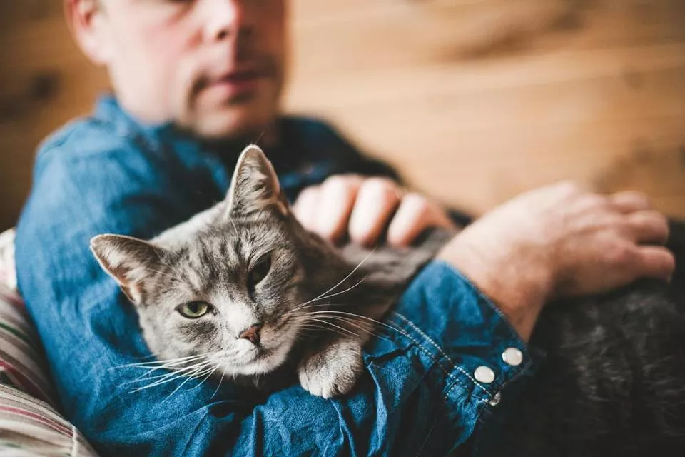 Kedi Sahiplerinin En Sık Yaptığı Hatalar