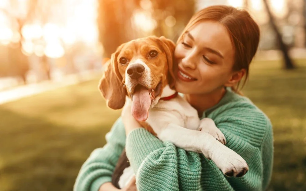 Köpekler nasıl insanın en iyi arkadaşı oldu?