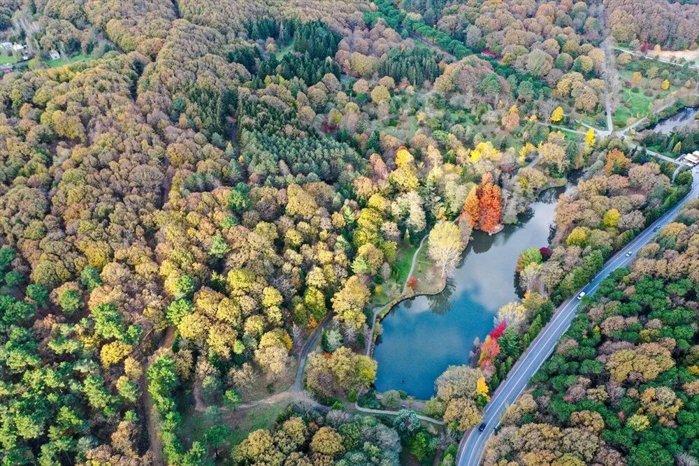 Atatürk Arboretumu Giriş Ücreti 2023, Atatürk Arboretumu nerede, nasıl gidilir?