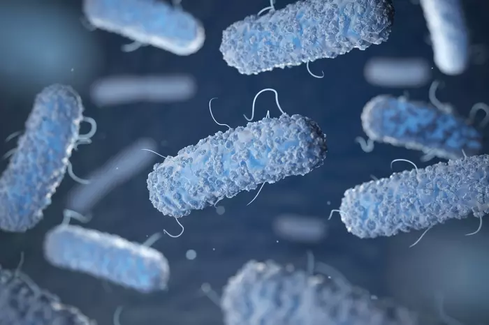 ABD’de Listeria Bakterisinden üç kişi hayatını kaybetti