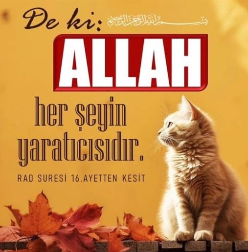 Allah'ın Uyarıları