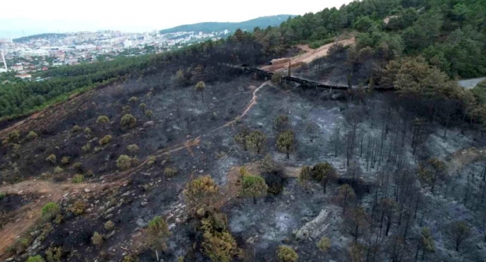 Aydos Ormanı'ndaki Yangın Sonrası Görüntüler