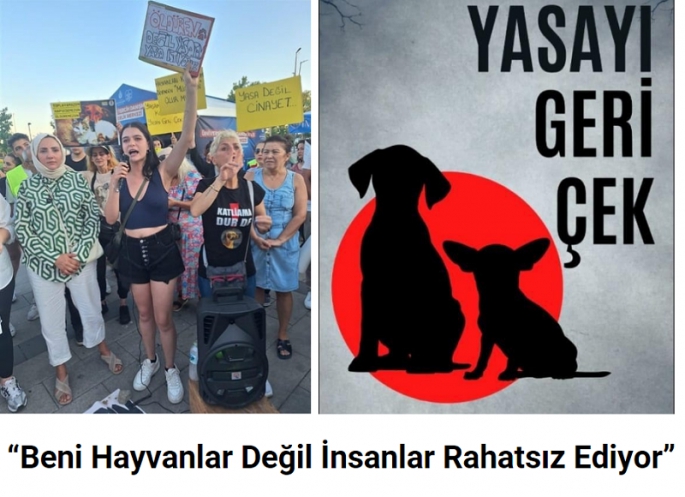 “Beni Hayvanlar Değil İnsanlar Rahatsız Ediyor”