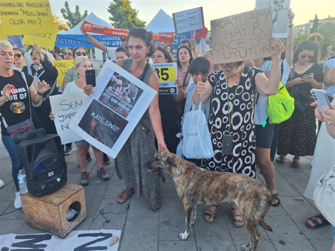 Pendikli Hayvanseverler Yasayı Protesto Etti