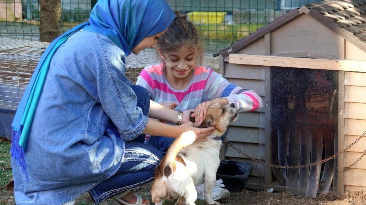 İnsanlar ve hayvanlar arasında büyük bir yakınlık ve duygusal bağ vardır. Günümüzde kediler, köpekler, kuşlar, balıklar başta olmak üzere  birçok farklı hayvan evde beslenir. Bunun yanı sıra sadece evde değil, duyarlı hayvan severler tarafından sokak hayvanlarının besin ihtiyaçları da karşılanır. Hayvan sevgisini daha fazla insana yaymak adına hayvanlarla ilgili çok güzel sözler bulunuyor. Hayvanları sevmeli, korumalı ve onlarla ilgilenmeliyiz, böylece mümkün olan en iyi yaşamı sürdürebilirler.